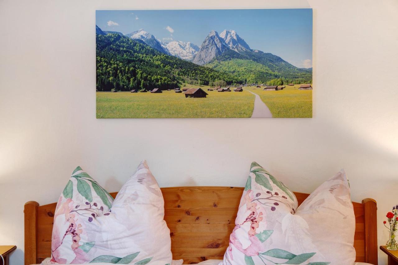 Zugspitzblick